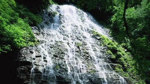 高效数字化